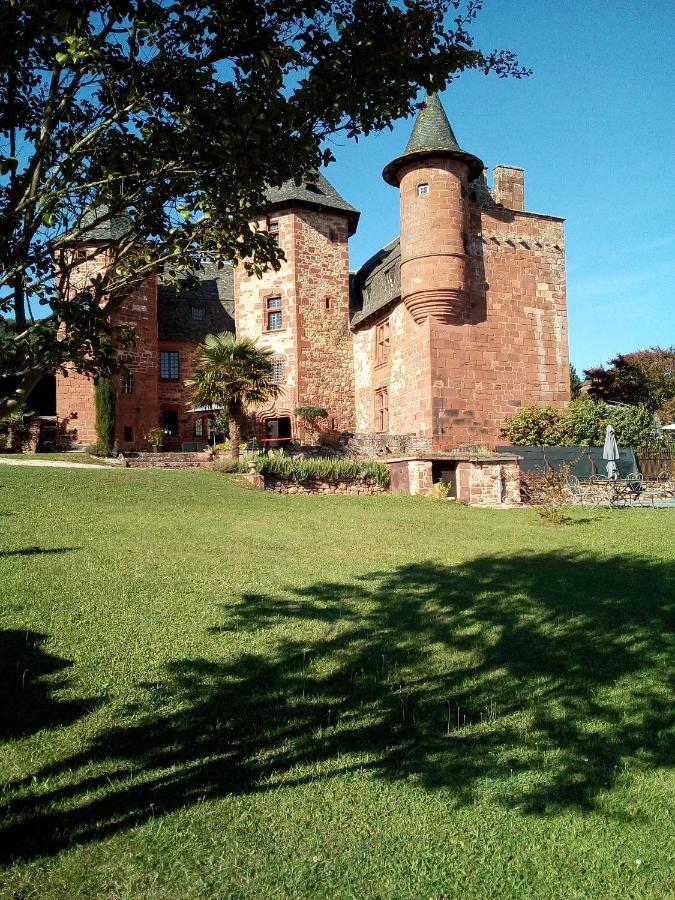 Chateau De Vassinhac Chambres D'Hotes Collonges La Rouge المظهر الخارجي الصورة