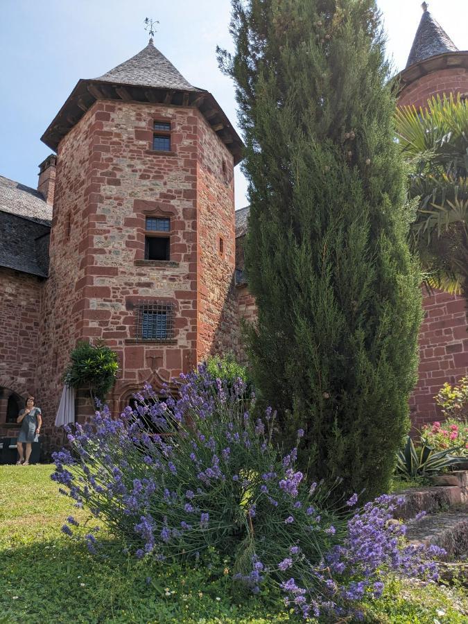 Chateau De Vassinhac Chambres D'Hotes Collonges La Rouge المظهر الخارجي الصورة